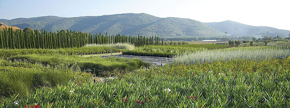 Garden vivai mediterranei