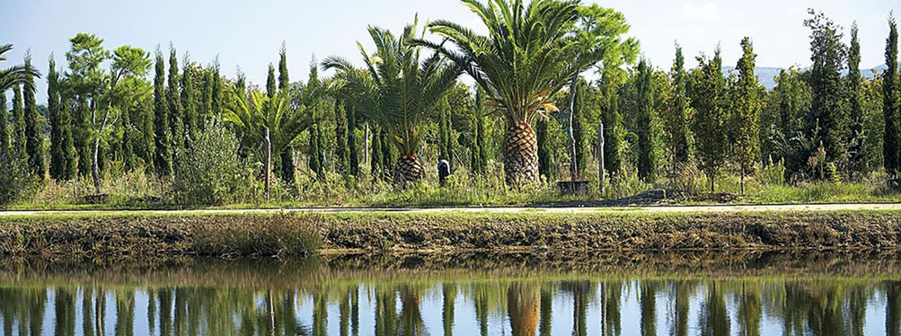 Garden vivai mediterranei