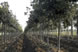 azienda