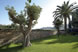 Parchi e Giardini