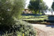 Parchi e Giardini